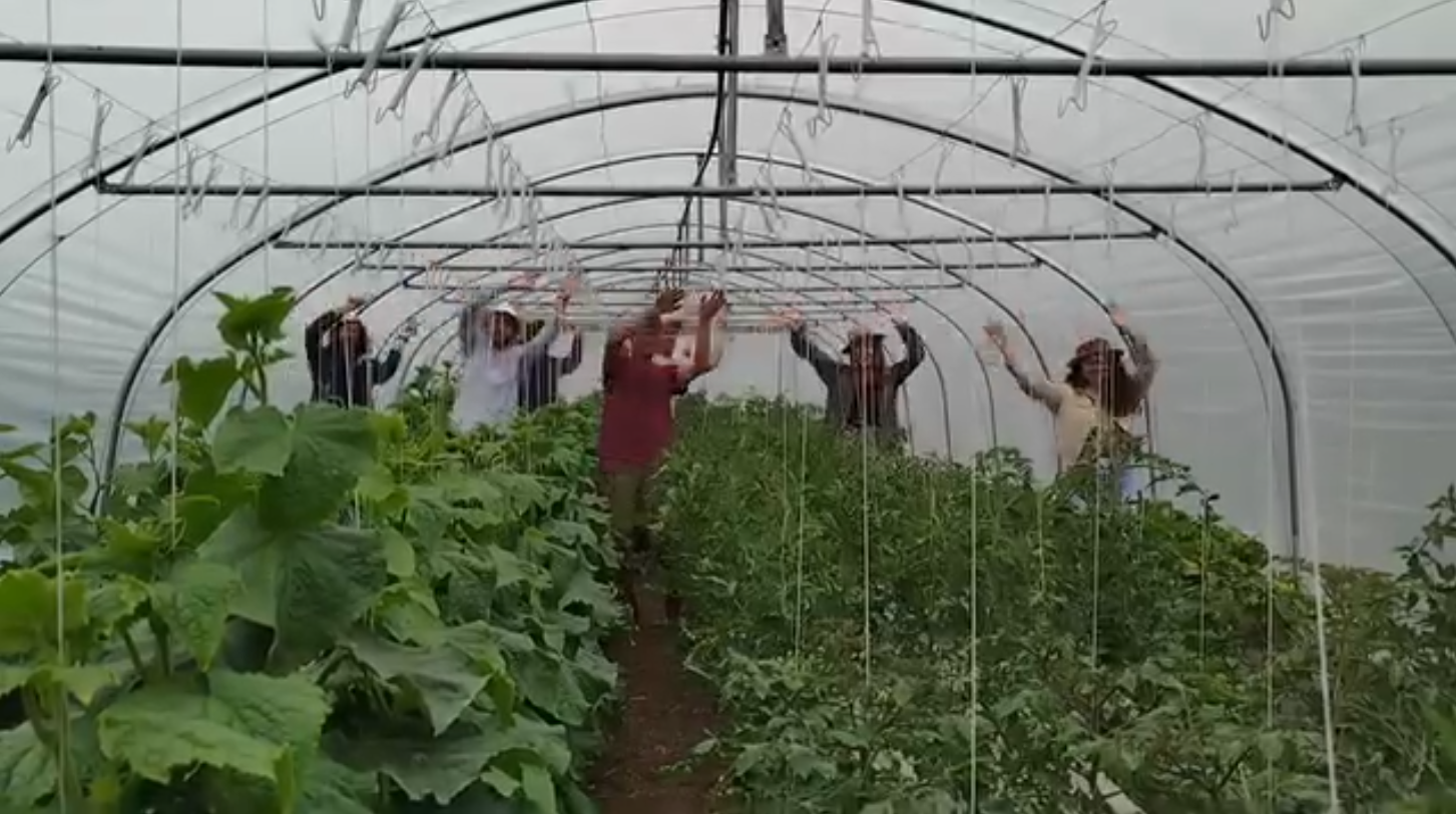 La danse anti-limace : le tube de l’été !