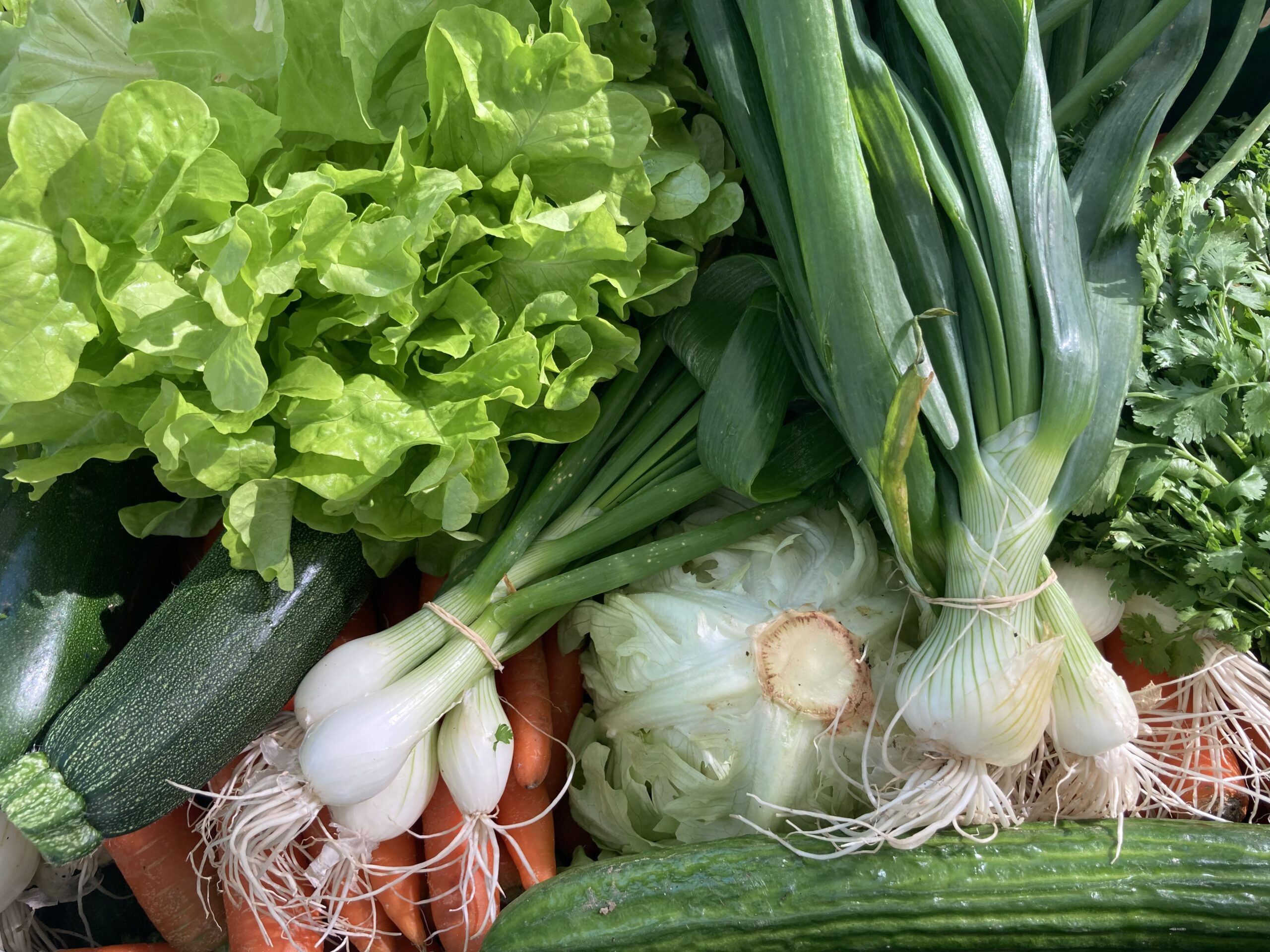 CSA: De wereld heeft een model dat werkt. En niemand zegt het genoeg.